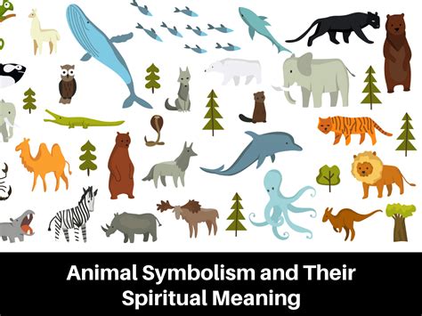 Animal Symbolism: Understanding the Meaning Behind the .